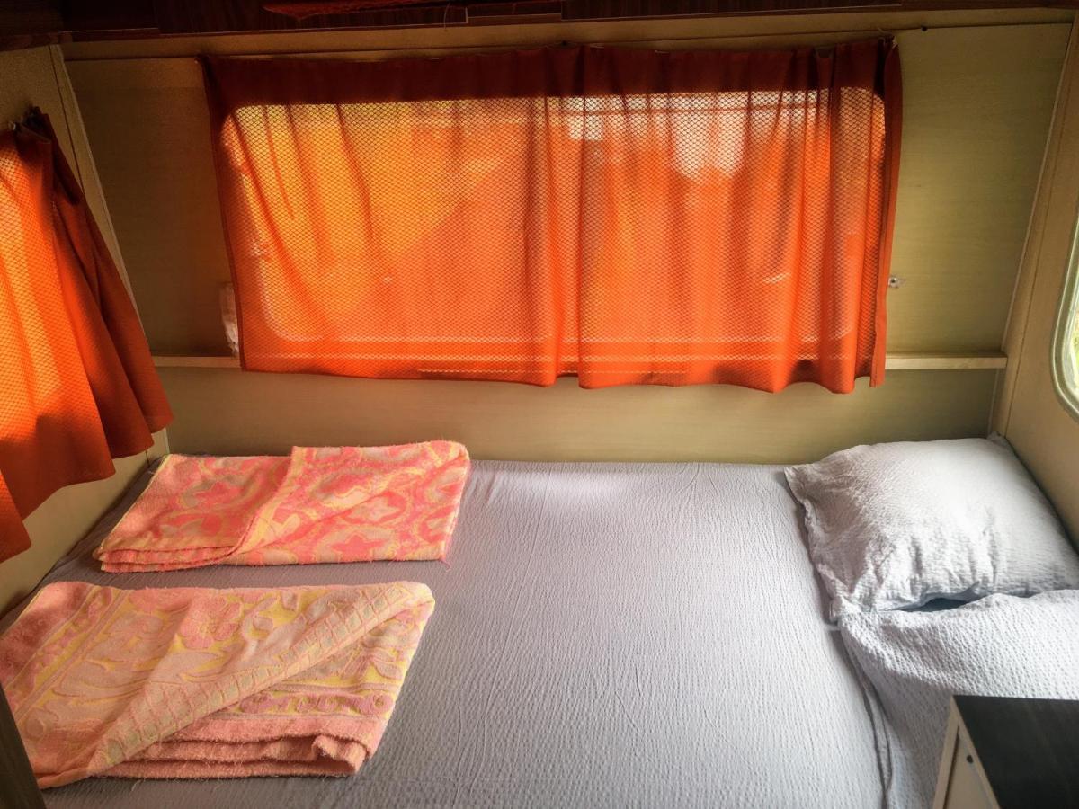 Camping Oaza Bela Crkva  Buitenkant foto