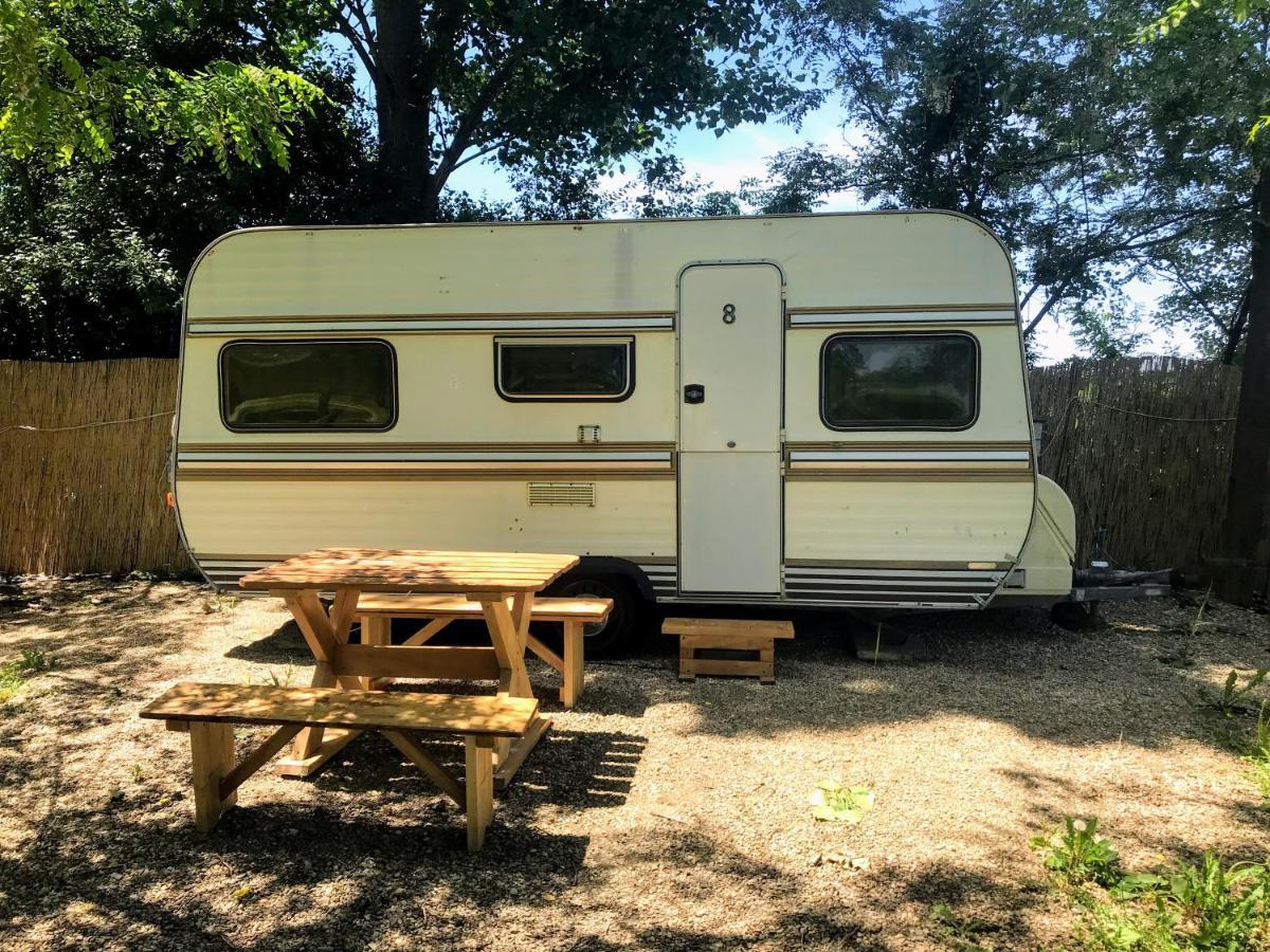 Camping Oaza Bela Crkva  Buitenkant foto