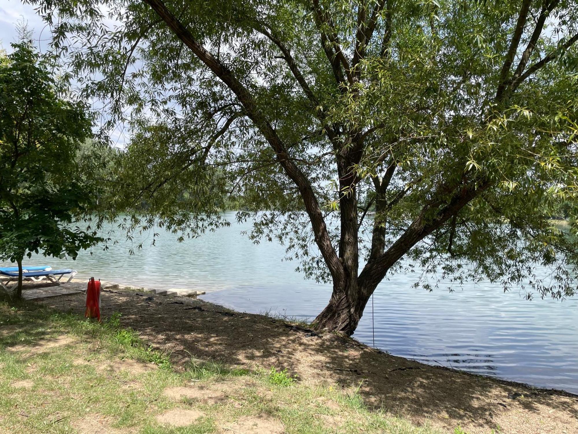 Camping Oaza Bela Crkva  Buitenkant foto